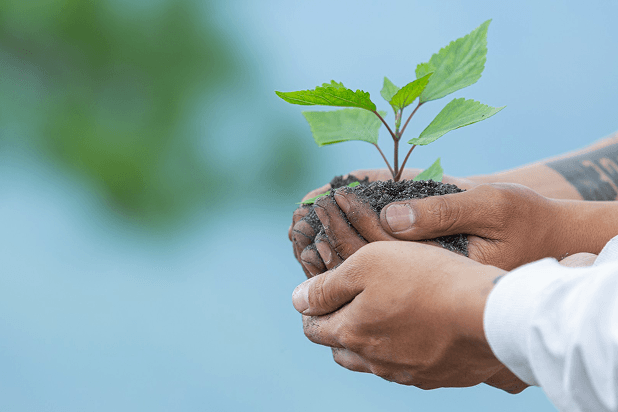 Responsible Growth